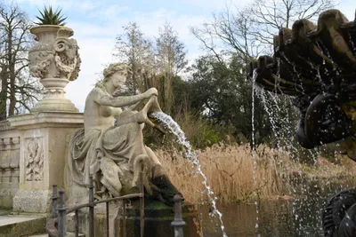 DSC_6909 (Large).JPG